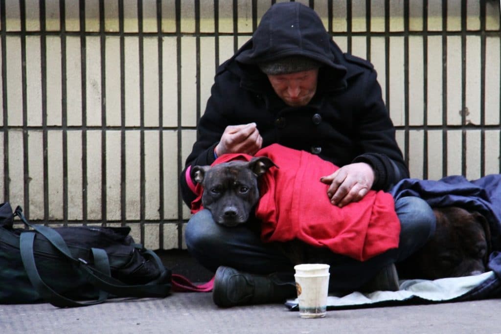 Homeless man and dog